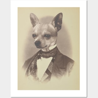 Gentleman Chihuahua Posters and Art